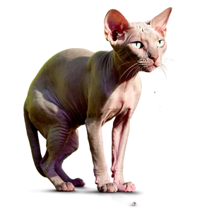 Sphynx Cat Fishing Trip Fun PNG Rkj26 PNG