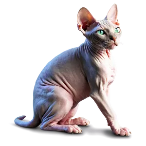 Sphynx Cat Png Kuc PNG image