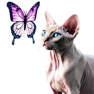 Sphynx Cat With Butterfly PNG Arc49