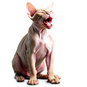 Sphynx Cat Yawning Expression PNG 50