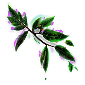 Spice Plant Clipart PNG 39