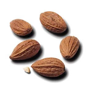 Spiced Almond PNG 05242024 PNG