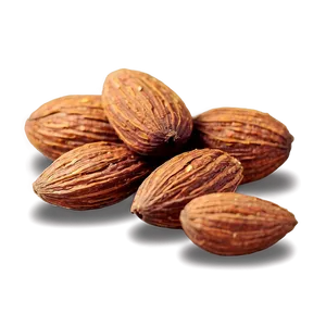 Spiced Almond PNG 1 PNG