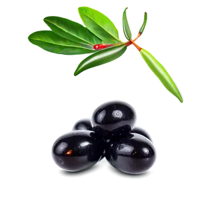 Spicy Black Olives PNG Jqh95 PNG