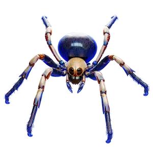 Spider Anatomy Png 68 PNG image