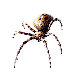 Spider Drawing PNG 30