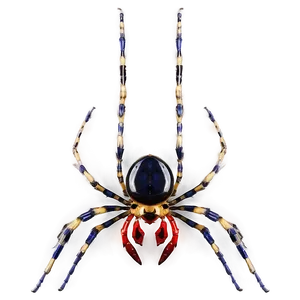 Spider Graphic Png 57 PNG image