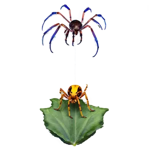 Spider In Nature Png 18 PNG image
