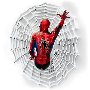 Spider Man Web D PNG image