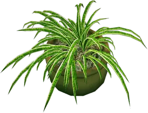 Spider Plantin Pot PNG image