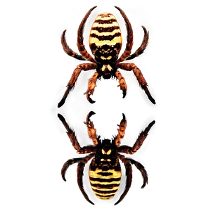 Spider Reflection Png Aog PNG image