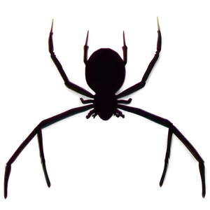 Spider Silhouette Png 05042024 PNG image