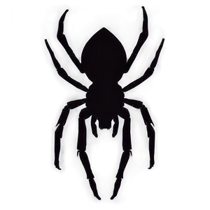 Spider Silhouette Png 05042024 PNG image