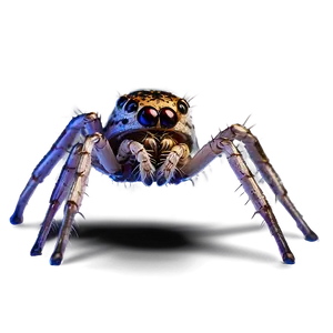 Spider Under Microscope Png Jfe88 PNG image