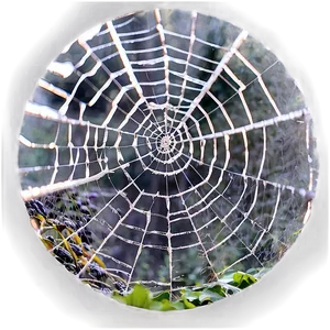 Spider Web Across Window Png 05042024 PNG image