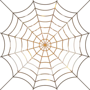 Spider Web Artistic Design PNG image