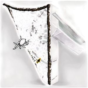 Spider Web Corner Capture PNG image