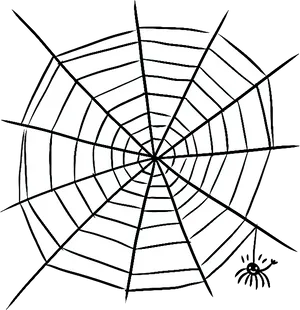 Spider Web Illustration PNG