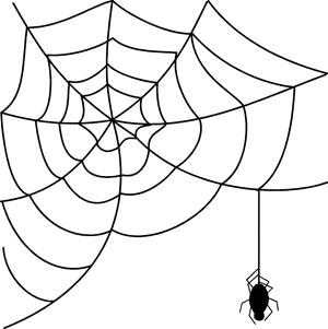 Spider Webwith Spider Drawing PNG image
