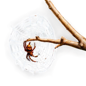 Spideron Web Artwork PNG image