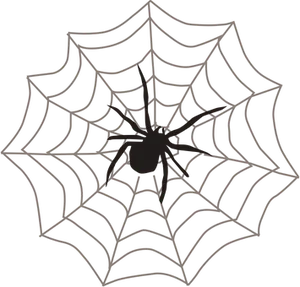 Spideron Web Silhouette PNG image