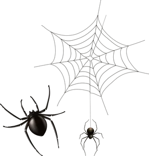Spiders_on_ Web_in_ Darkness