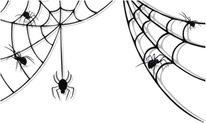 Spiders_on_ Web_ Silhouette PNG image