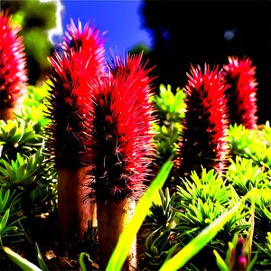 Spikes In Landscape Design PNG Khm PNG