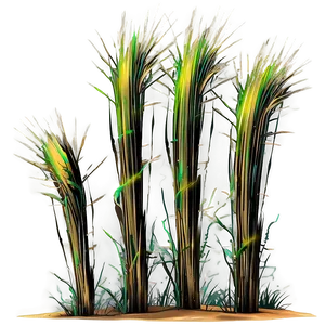 Spiky Desert Grass Png 85 PNG image