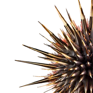 Spiky Hair Texture PNG Chh16 PNG