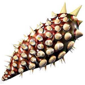 Spiky Shell Texture PNG 06122024 PNG