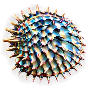 Spiky Shell Texture PNG 45 PNG