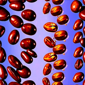 Spilled Beans PNG 10