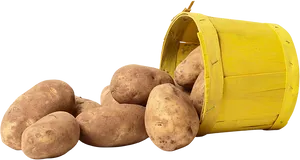 Spilled Potatoes Yellow Bucket PNG image