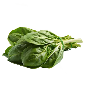 Spinach Lettuce Png 05242024 PNG image