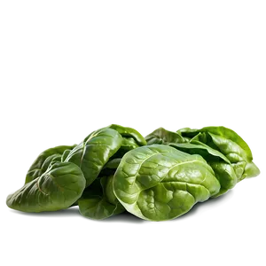 Spinach Lettuce Png 73 PNG image