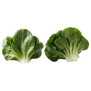 Spinach Lettuce Png Mgh PNG image