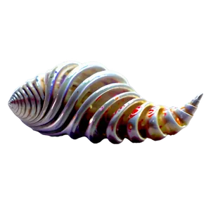 Spiral Sea Shells Png 98 PNG image