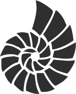 Spiral Shell Graphic Black Background