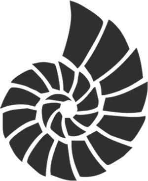 Spiral Shell Graphic Black Background PNG image