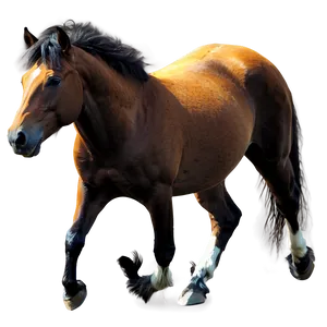 Spirit Of The Mustang Horse Png 55 PNG image