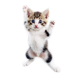 Spirited Kitten Leap PNG 06242024 PNG