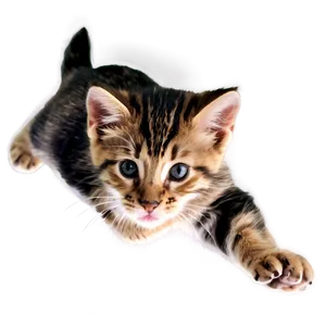 Spirited Kitten Leap PNG 98