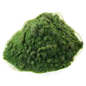 Spirulina Algae Close-up Png Wsj74 PNG image