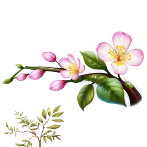 Splendid Blossom Png Irn81 PNG image