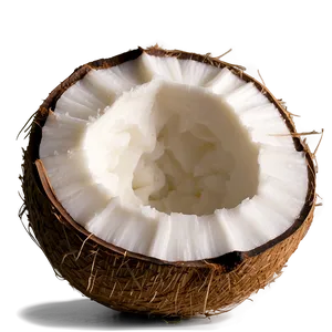 Split Coconut PNG Lnj PNG