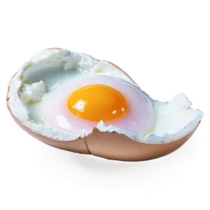 Split Open Egg PNG Hbs80 PNG