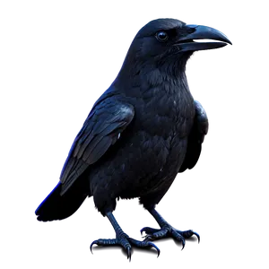 Spooky Crow PNG 36