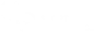Sport Experience Logo PNG