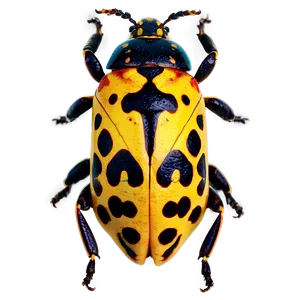 Spotted Bug PNG Ptr97